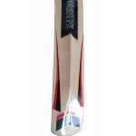 GM Purist Contender Kashmir Willow Cricket Bat